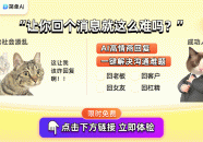 娱乐圈八卦新鲜事：明星爆笑日常与最新消息！