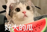 2021吃瓜事件汇总